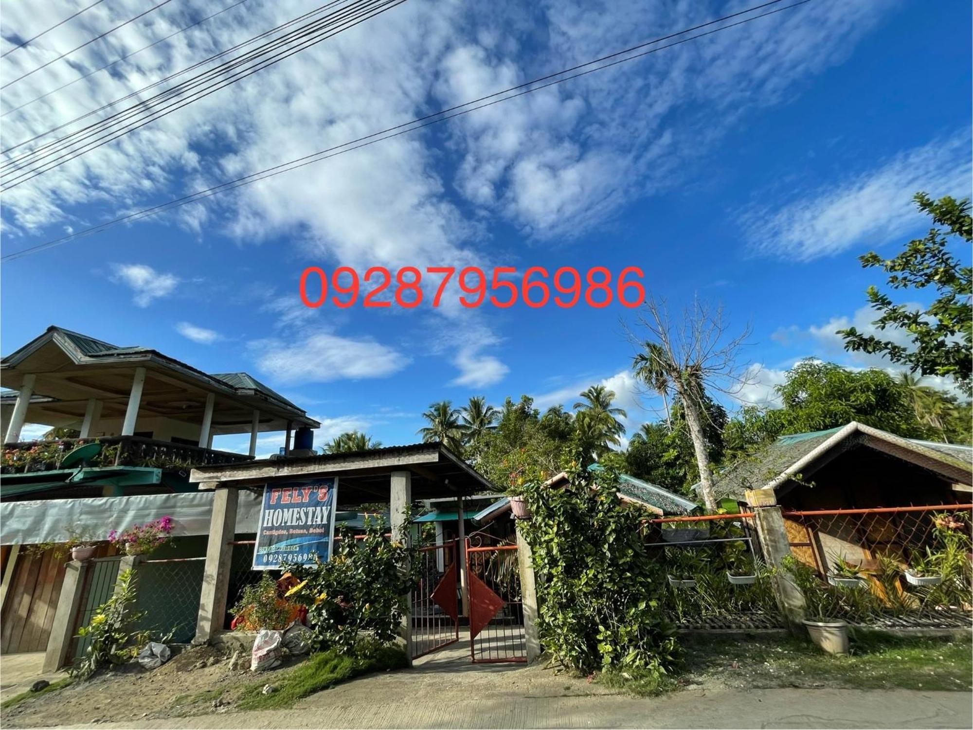 Fely'S Homestay Batuan Εξωτερικό φωτογραφία